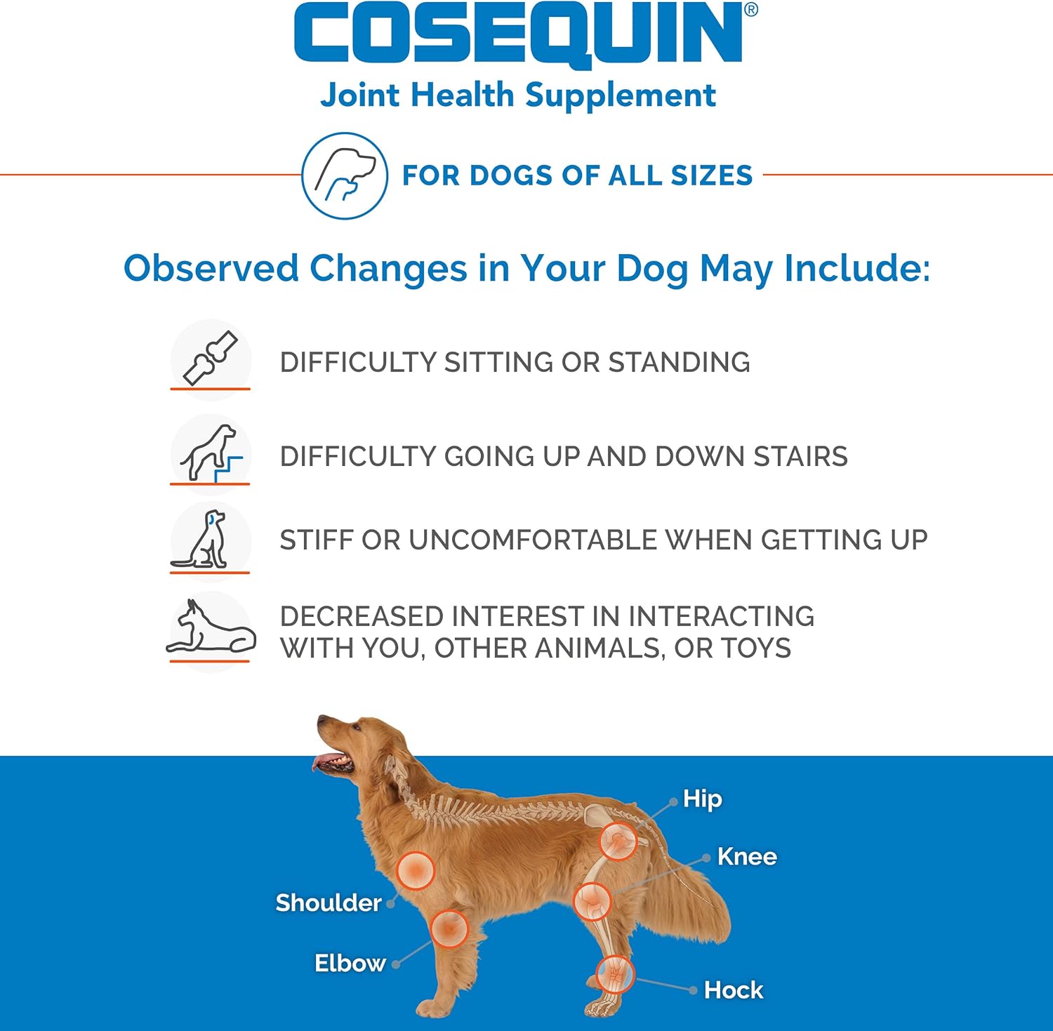 Cosequin Soft Chews with MSM and Omega-3s, 120 ct : Pet Supplies