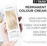 Clairol Colour Studio Permanent Colour Cream Cool Porcelain 11/1 50ml view 9