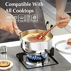 KOCH SYSTEME CS Stainless Steel Saucepan, 3 Quart