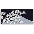 X-Raypad Aqua Control 2 Gaming Mouse Pad, Ultra-High Precision Mouse Pad with Perfect Speed and Control Capability, Consistent X and Y Glide, Designed for Fps Players with Low DPI Requirements