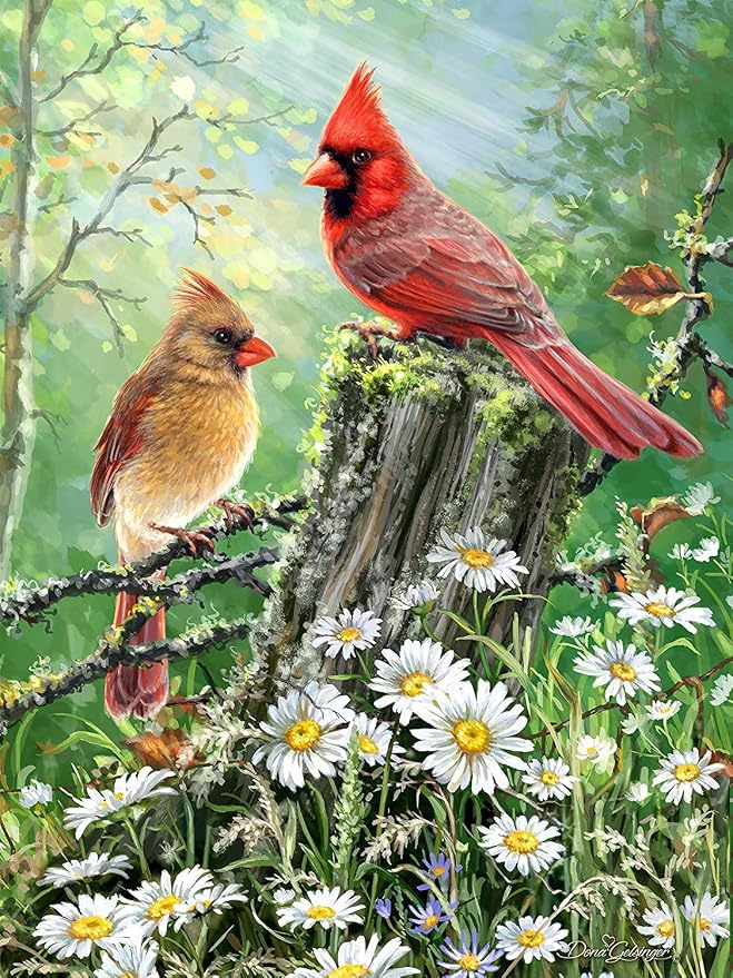 Amazon.com: 5D Full Drill Cardinals Birds Diamond Painting Kit, UNIME