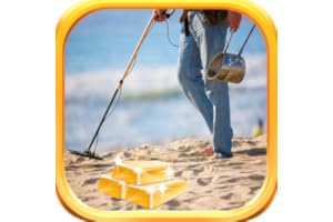 Metal Detector