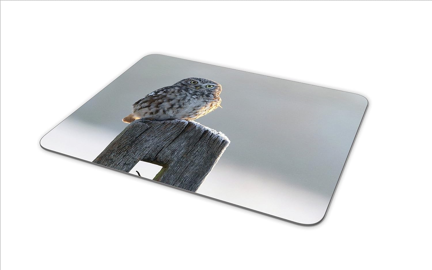 Destination Vinyl Ltd Beautiful Owl in Winter Mouse Mat Pad - Bird Birds Owls Mum Computer #8890, Multicolor, 23.5cm x 19.6cm x 5mm - Image 5