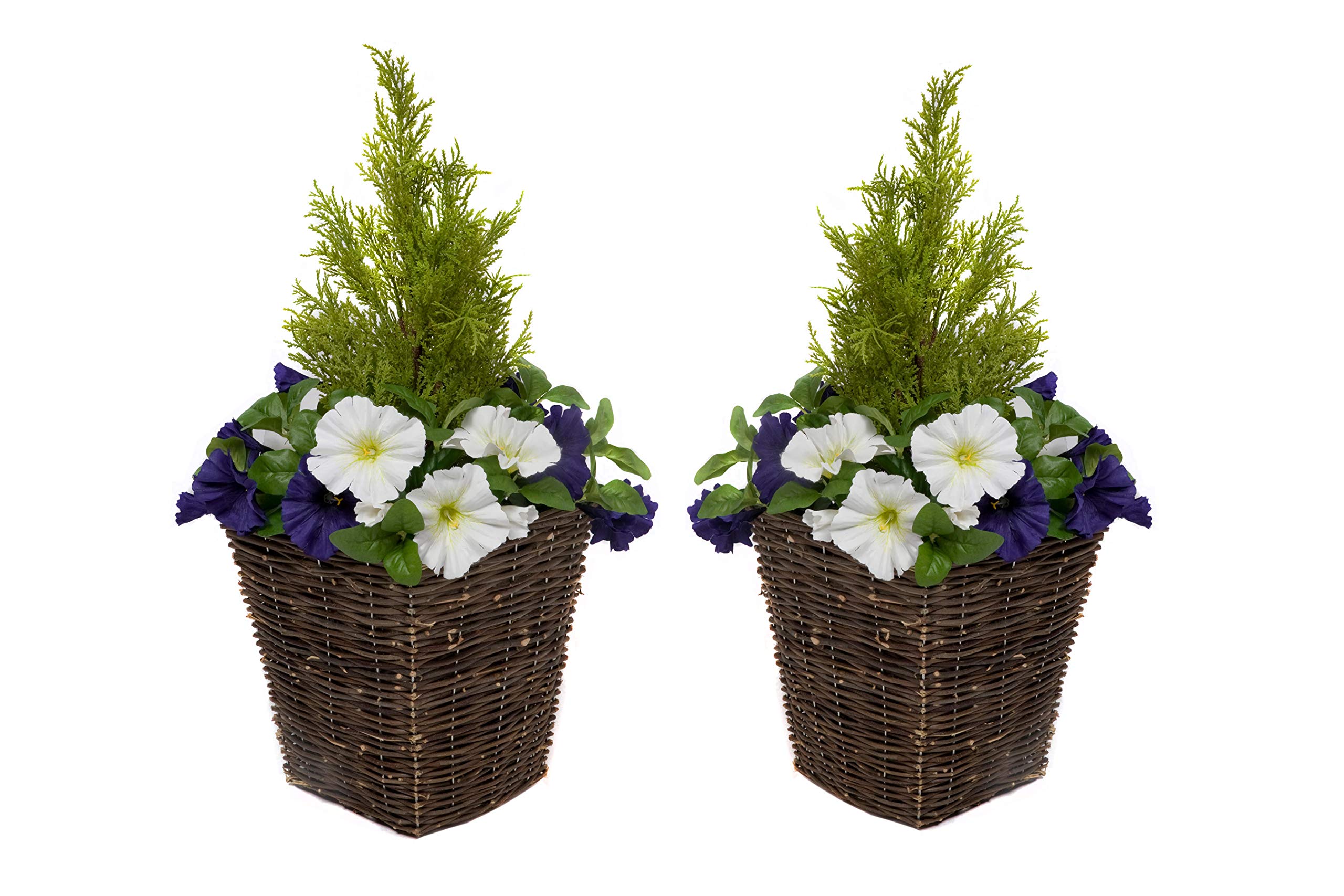 GreenBrokers 2 x Artificial Dark Purple & White Faux Silk Petunias with Conifer Topiary Ideal for Home, Patio, Garden Outdoor Living 60cm/23.5in