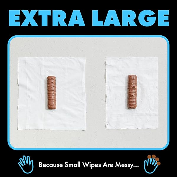 DUDE WIPES – FLUSHABLE WIPES – 2 PACK, 48 WIPES – UNSCENTED EXTRA-LARGE ADULT WET WIPES – VITAMIN-E & ALOE FOR AT-HOME USE – SEPTIC AND SEWER SAFE