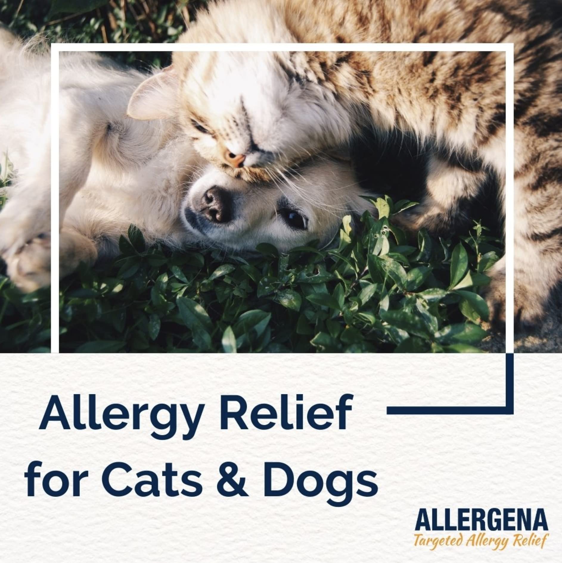 PROGENA Allergena for Pets (1 FL Ounce)