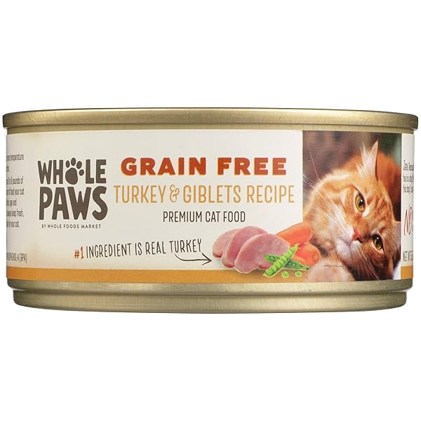 WHOLE PAWS GRAIN FREE TURKEY & GIBLETS RECIPE, 5.5 OZ