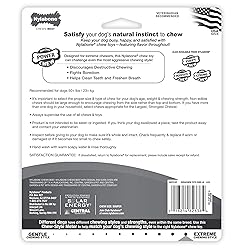 Nylabone Power Chew Textured Dog Chew Ring Toy, Dog
