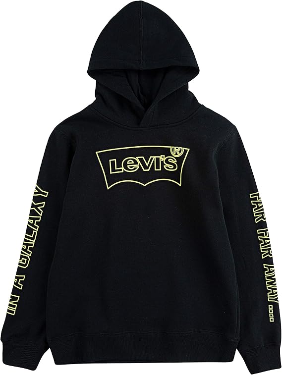 boys levi hoody