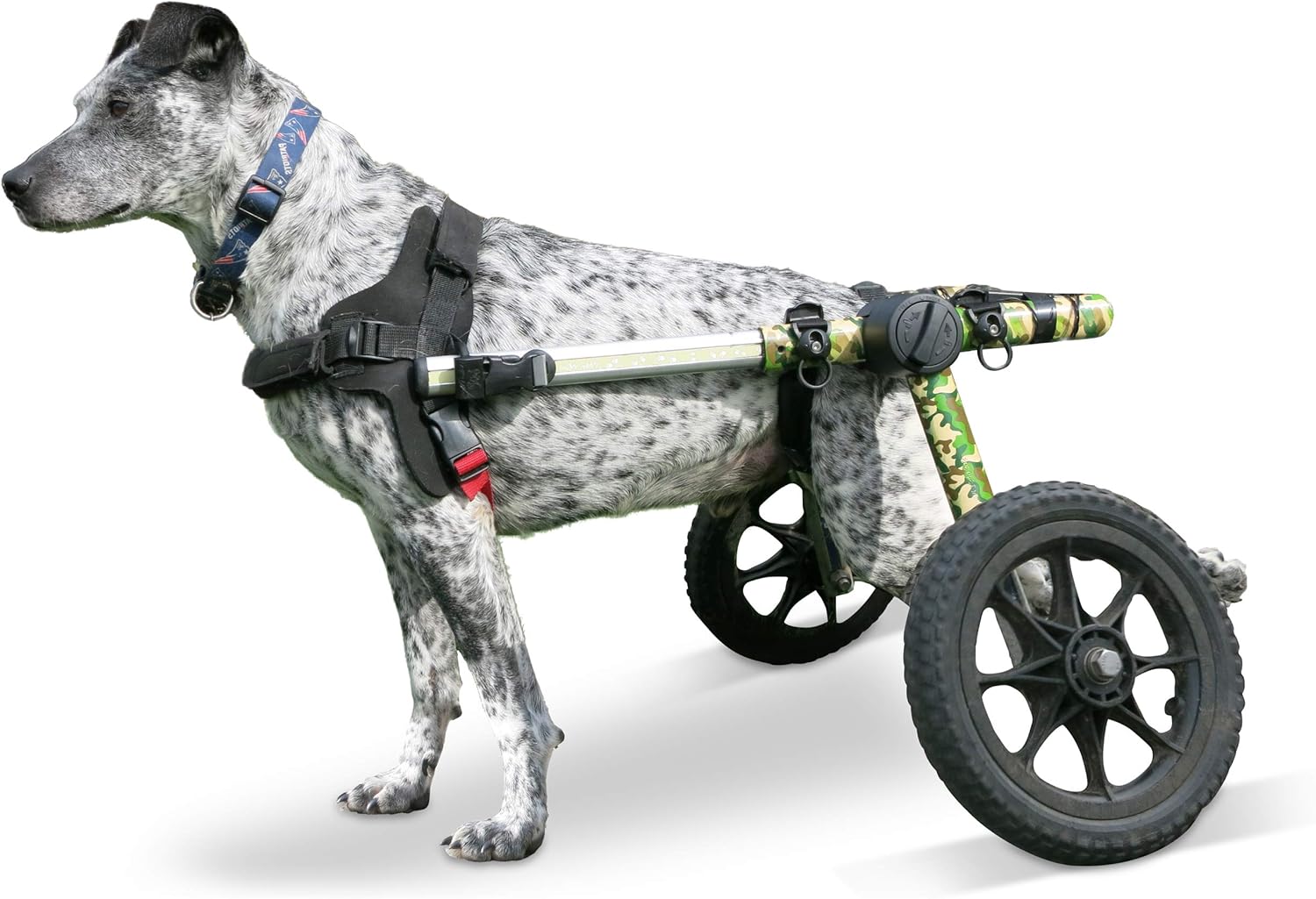 walkin wheels medium