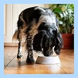 by Amazon Dog Food Paté with Beef 300g Pack of 20 Lifelong view 7