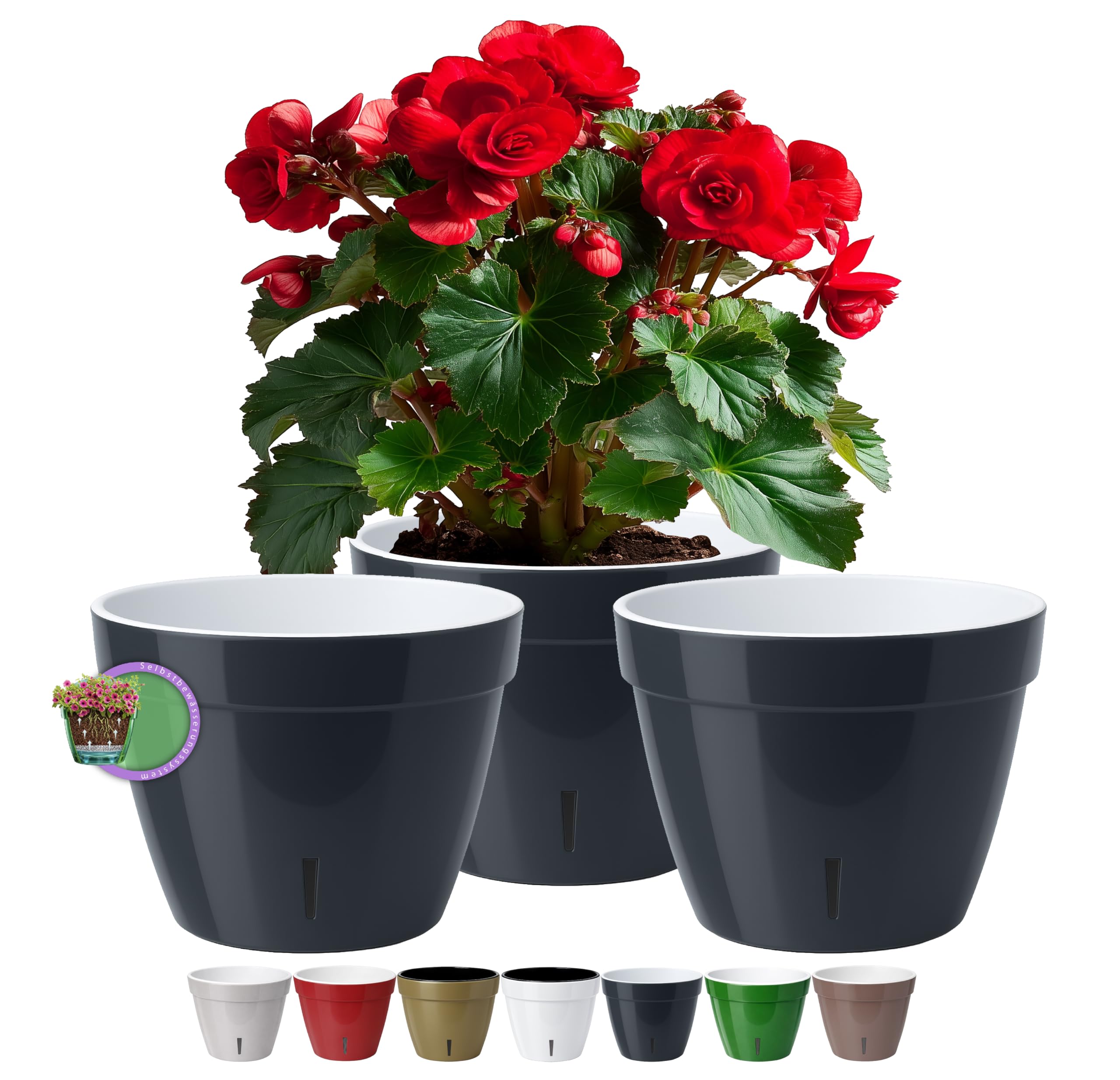Santino ASTI 7.9 Inch Self Watering Planters (SET OF 3) for Indoor Plants - Modern Flower Pots w/Water Level Indicator for All Plants, Violets and Dahlias - (Ø 7.9 Inch, 4 L, ANTHRACITE/BLACK)