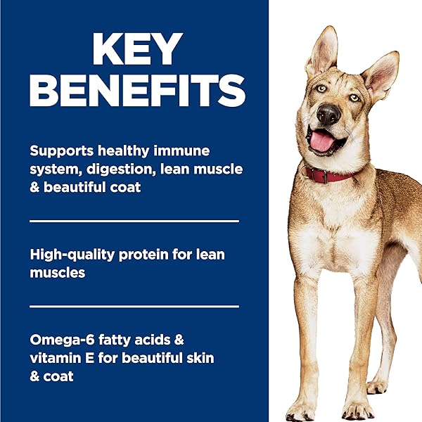 HILL’S SCIENCE DIET ADULT 1-6 WET DOG FOOD, CHICKEN & BEEF, 13 OZ. CANS, 12-PACK