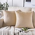 Phantoscope Pack of 2 Velvet Decorative Throw Pillow Covers Soft Solid Square Cushion Case for Couch Beige 26 x 26 inches 65 x 65 cm
