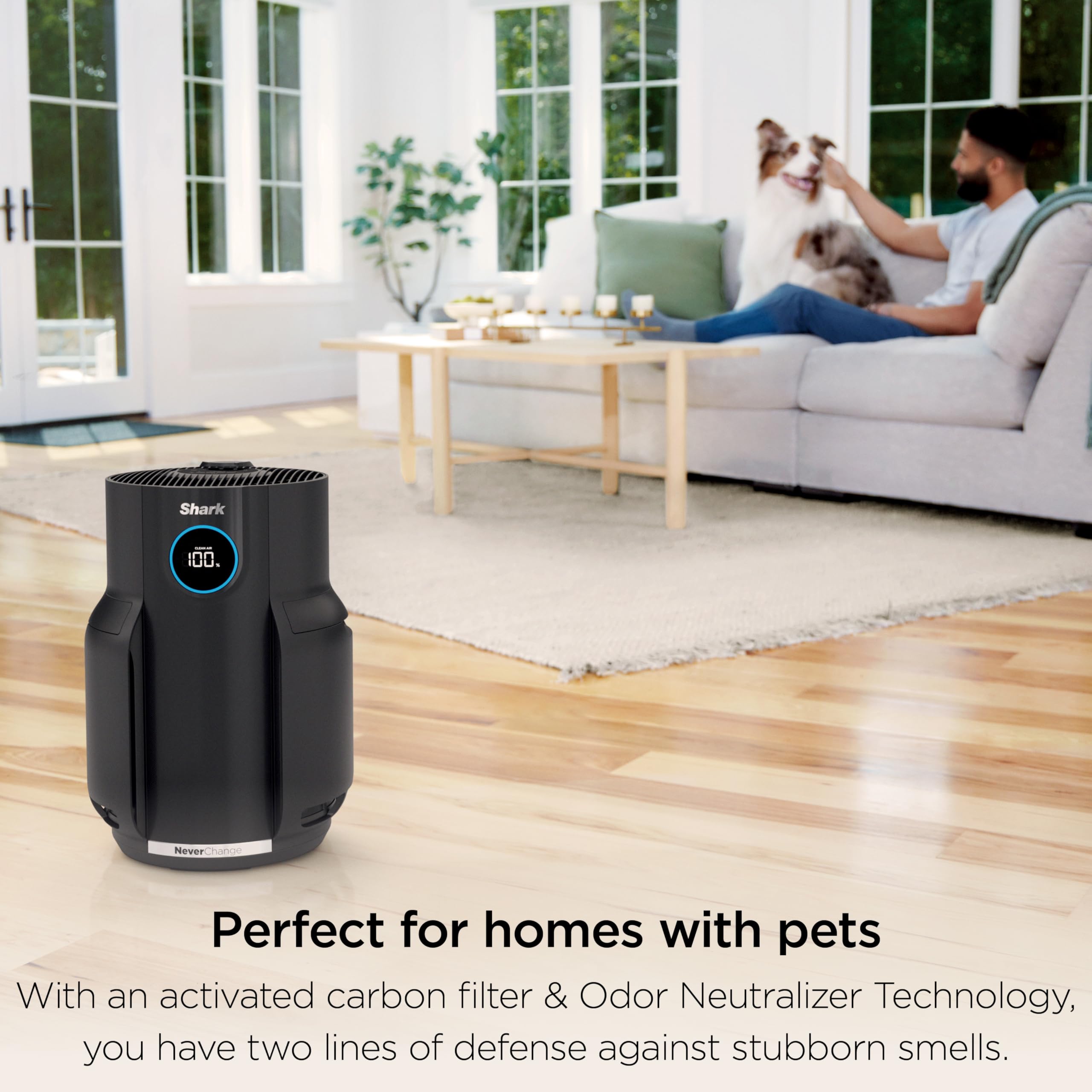 Shark Air Purifier for Home, NeverChange, for Large Room, HEPA-Exceeding Filter, Captures Pollutants, Pet Dander, Dust, Odor, Smoke, and More, Odor Neutralizer, HP152, Charcoal