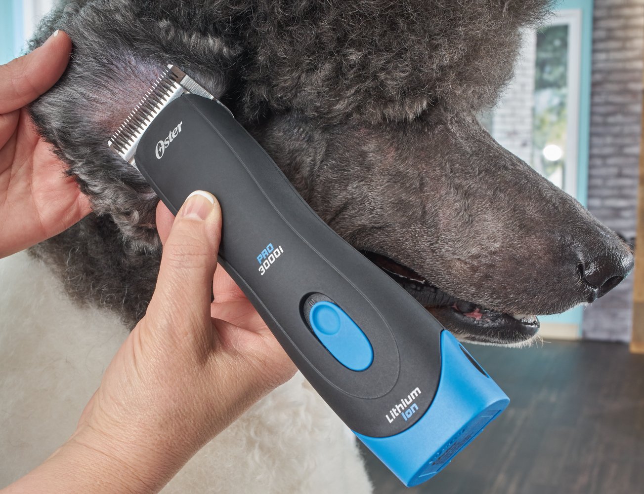 Clippers For Curly Hair Dogs at Francis Ward blog