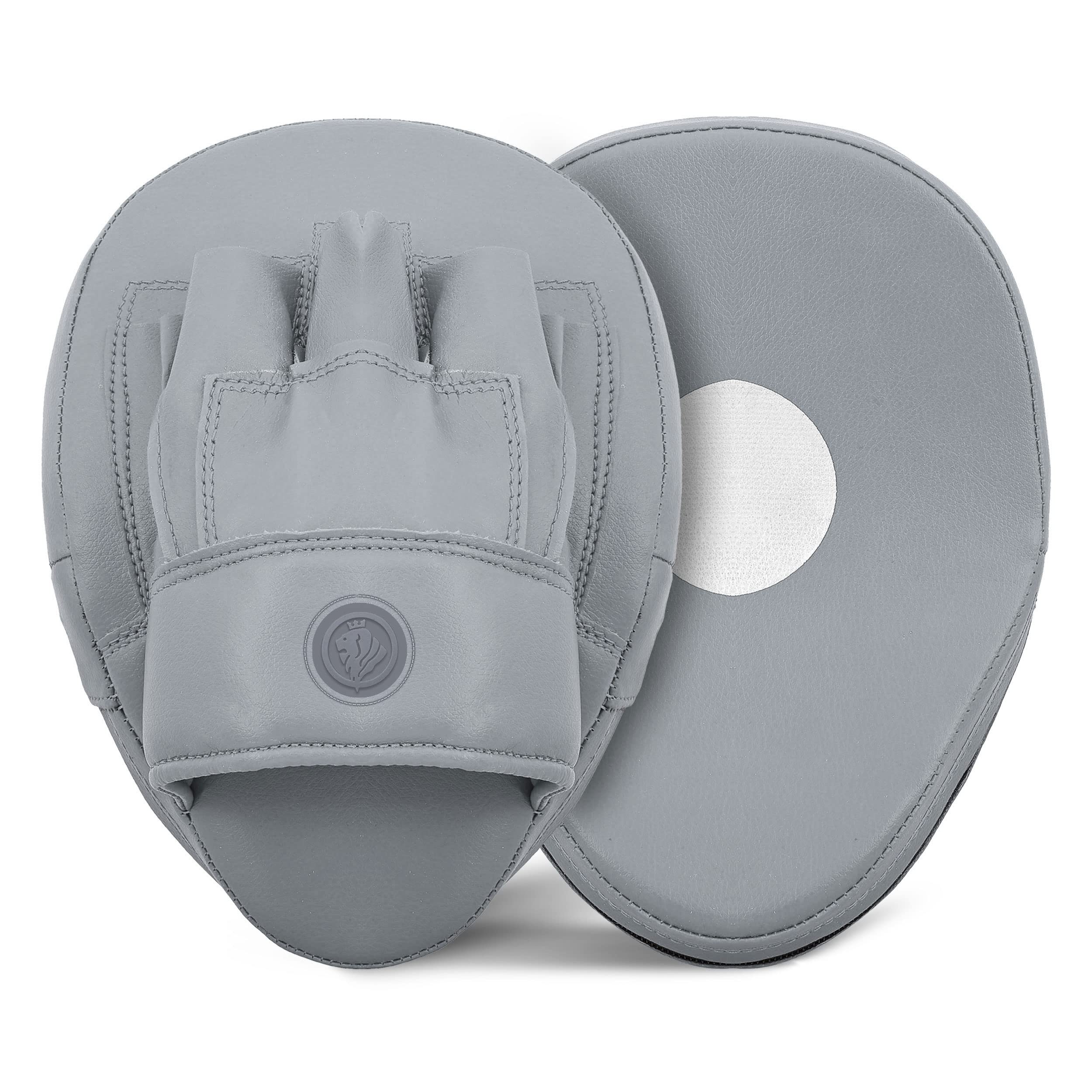 Lions Curved Focus Pads Hook & Jabs Gloves Punch Bag Mitts Boxing MMA Kick Training (Grey) โ image 1