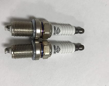 Amazon Com Set Of 2 Rc14yc Champion Spark Plugs Lawn Mower Spark Plugs Garden Outdoor
