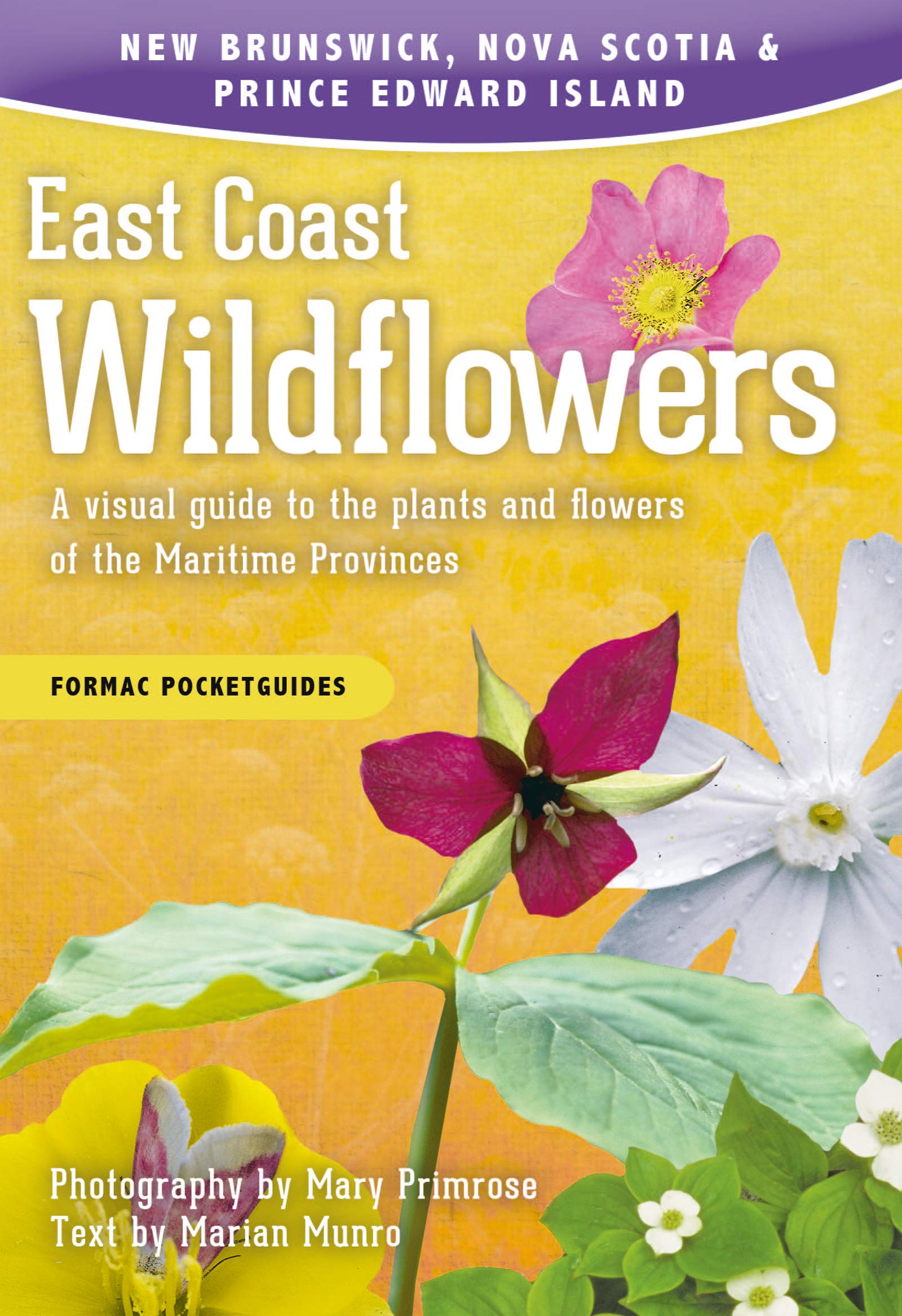 East Coast Wildflowers A Visual Guide To The Plants And Flowers Of The Maritime Provinces Formac Pocketguides Primrose Mary Munro Marian 9781459505629 Books