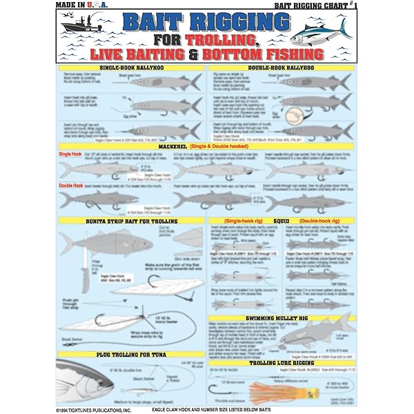 Bahamas Chart Saltwater Fish ID Guide Waterproof Chart For Gulf