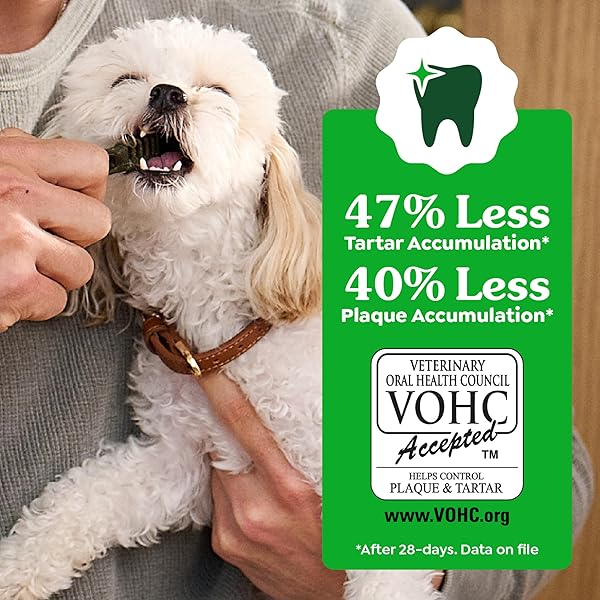 GREENIES VETERINARIAN-RECOMMENDED ADULT NATURAL DENTAL DOG TREATS TEENIE SIZE, DOG DENTAL CHEWS, ORIGINAL FLAVOR, 12 OZ. PACK, 43 COUNT