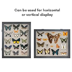 Americanflat Front Opening 11x14 Shadow Box Frame