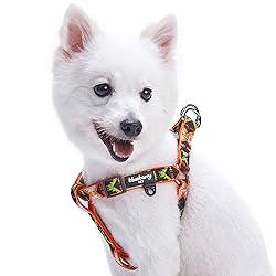Blueberry Pet 2 Colors Soft & Comfy Step-in