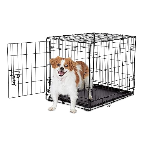 Petco Brand Animaze 1-Door Folding Dog Crate, L x W