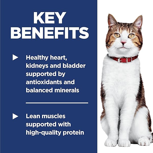 HILL’S SCIENCE DIET ADULT 7+, SENIOR ADULT 7+ PREMIUM NUTRITION, DRY CAT FOOD, CHICKEN RECIPE, 4 LB BAG