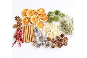 RENMTURE DIY Natural Dried Flower Kit - Bulk Dried Plants, Pine Cones, Scented Lemon Slices, Cinnamon Sticks Wood Roses & Mini Pinecones for Home Décor, Christmas Decoration (Orange - A)