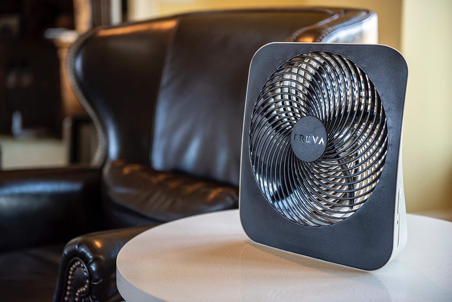Treva 10-Inch Portable Desktop Air Circulation Battery Fan - 2 Cooling Speeds - With AC Adapter: Garden & Outdoor