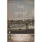 The Great Divergence: China, Europe, and the Making of the Modern World Economy (The Princeton Economic History of the Wester
