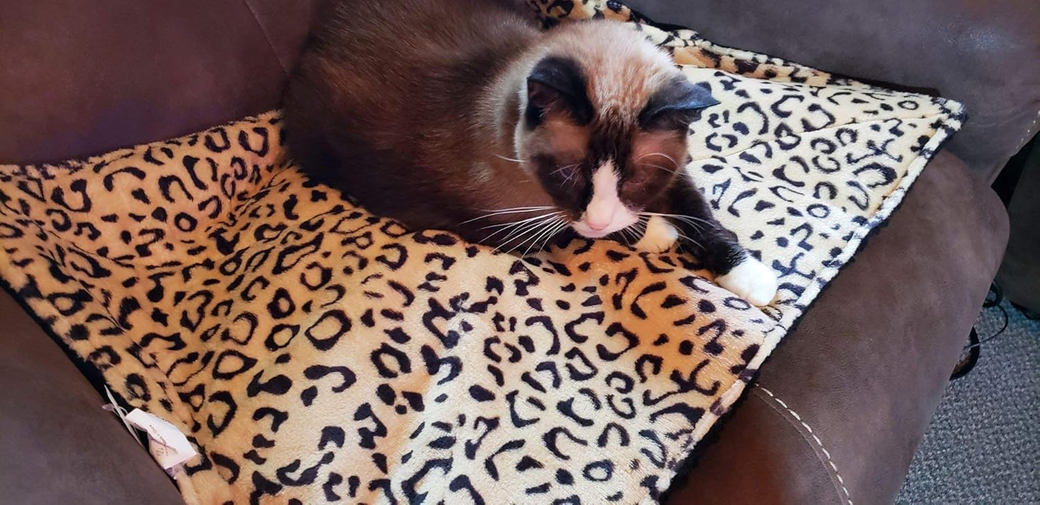 EXPAWLORER Self Heating Cat Pad for Pet, Warming Pet Bed Mat Safety Cat Pad with Leopard Print Great for Puppies and Cats in Cold Weather, Beige : Pet Supplies