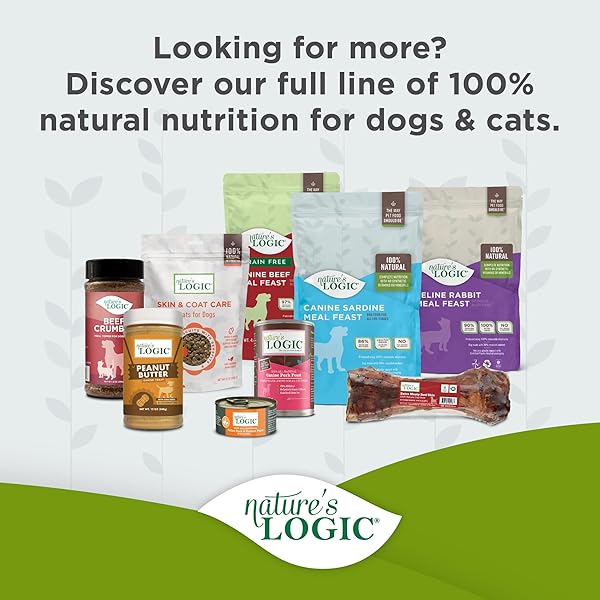 NATURE’S LOGIC DRY DOG FOOD – 100% NATURAL – NO SYNTHETICS – FOR ALL AGES, SIZES, BREEDS – FREE FROM COMMON ALLERGENS, HIGH PROTEIN – DUCK & SALMON MEAL FEAST, 4.4LBS