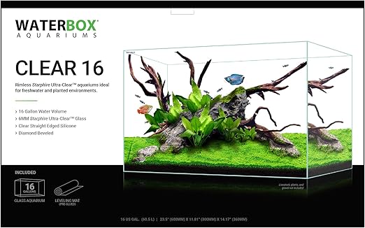 16 gallon aquarium