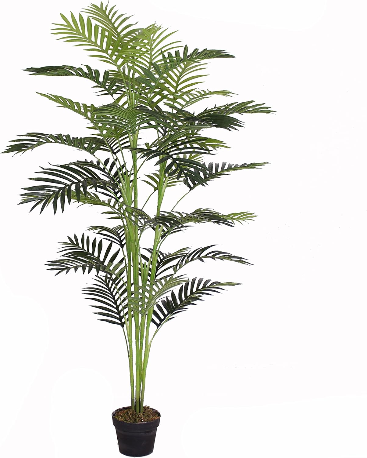 Best Home Technology Decor