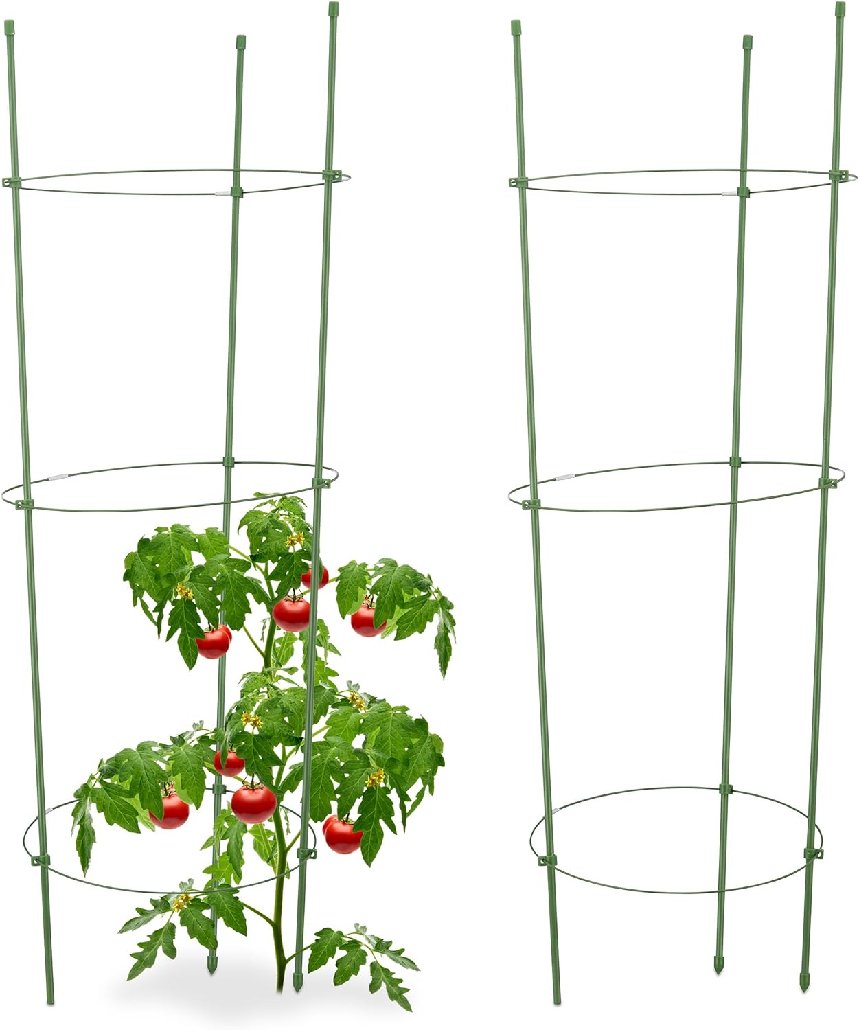 Relaxdays 10023296 Soporte Plantas Trepadoras, Pack de 2 ...