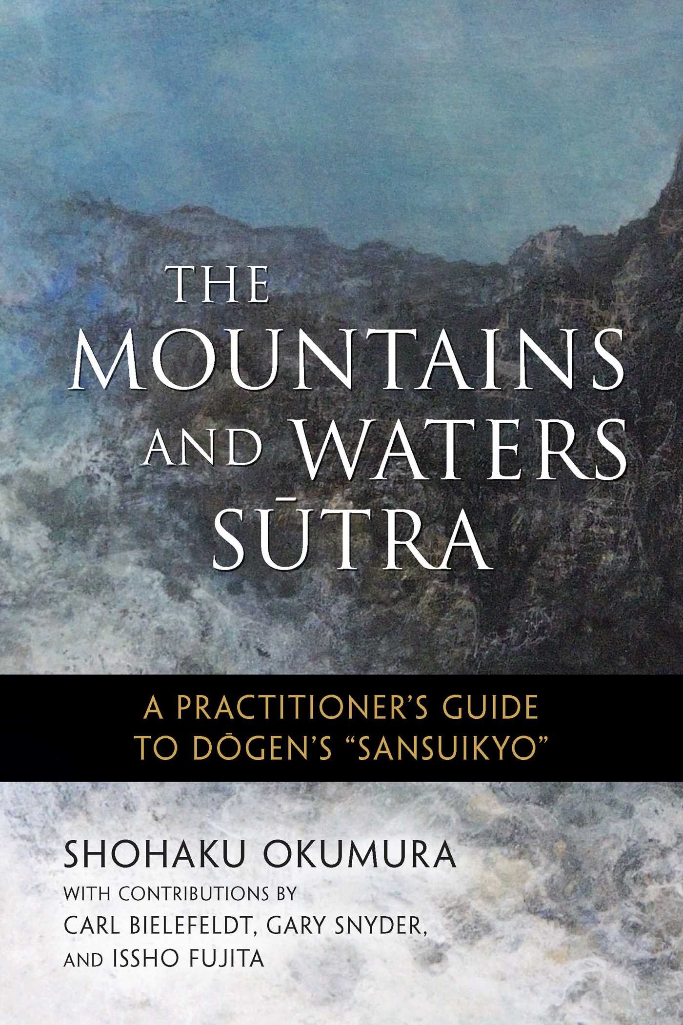 Amazoncom The Mountains And Waters Sutra A Practitioners - 