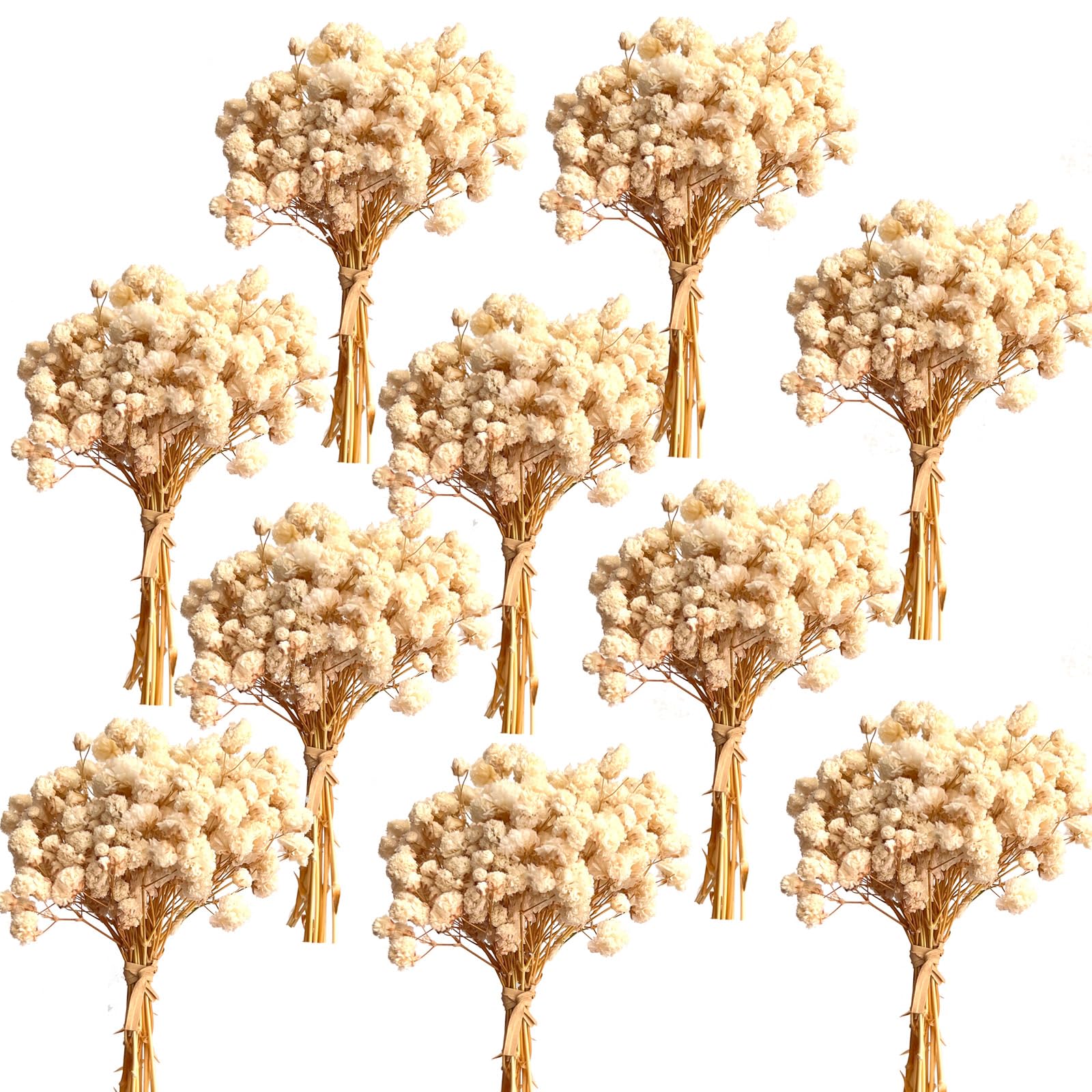 Photo 1 of 100+Pcs Mini Dried Babys Breath Flowers, 5600+ Multiple White Baby Breath Flowers Bulk, Dried Flower for Candle Making Invitation Resin Crafts, Gypsophila for Christmas Wedding Decor