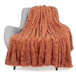 TOONOW Faux Fur Luxury Throw Blanket,Double Side