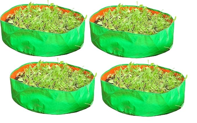 Evergreen Terrace Gardening Leafy Vegetable Grow Bag, 18x8- inch (Green) - Pack of 4