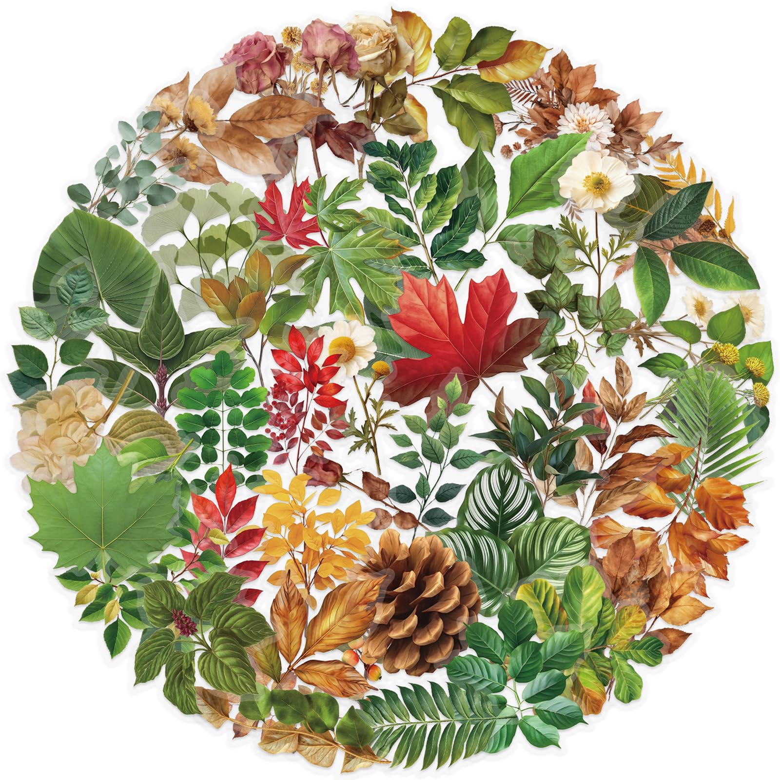 50 Pcs Transparent Green Plant Stickers - Waterproof Vinyl Decals for Water Bottles Laptops Travel Gear - No Residue Jungle Leaves Design for All Ages