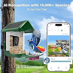 Viubird Bird Feeder with Camera Solar Powered