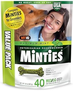 kirkland brand greenies