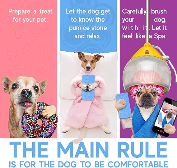 pumice stone dog grooming