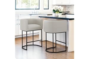 LUE BONA 27" H Counter Height Bar Stools Set of 2, Modern Barrel Counter Stools with Backrest and Arms, Black Metal Frames, L
