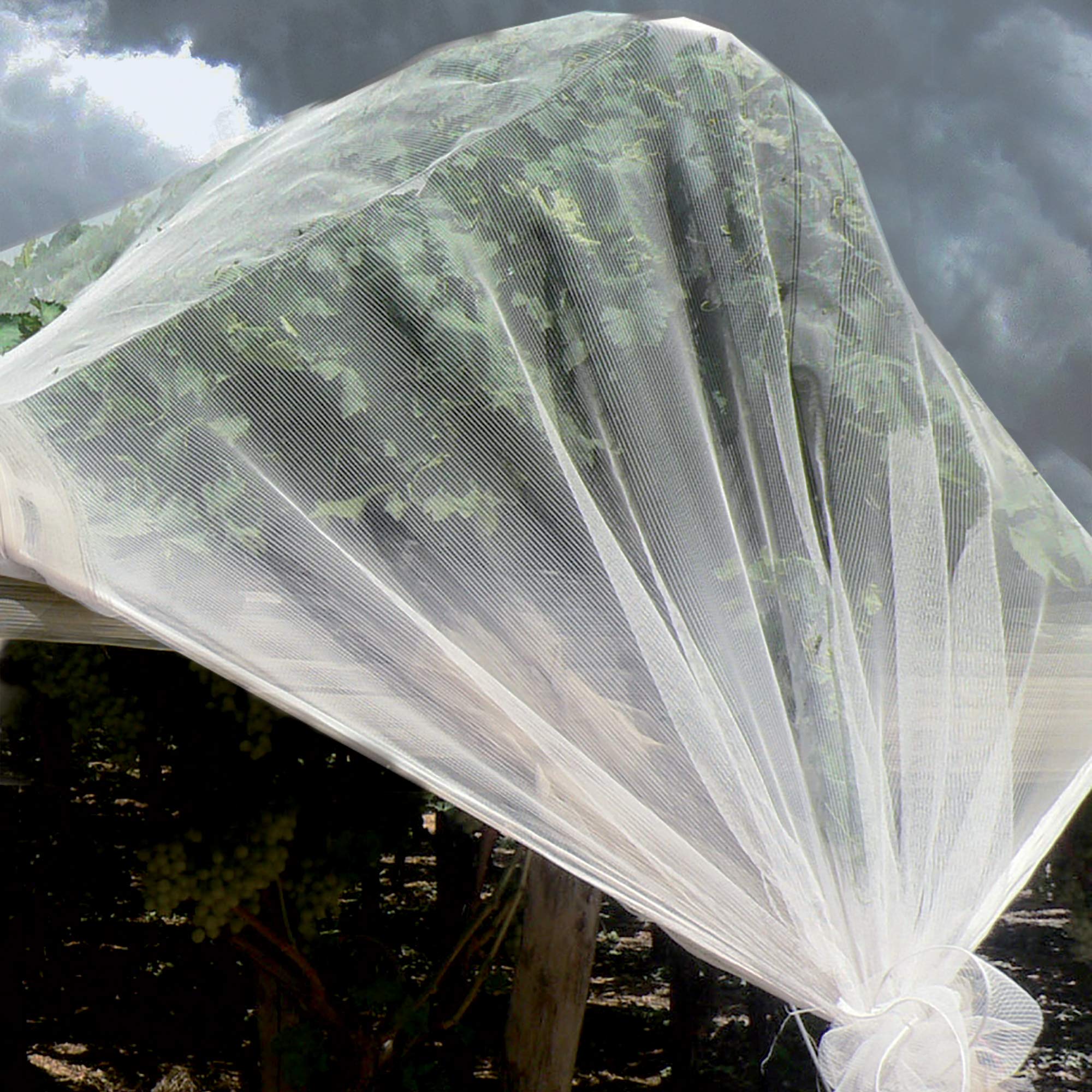 Tenax Iridium 4.00x5 m, Professional Hail Net Pearl White, with Forcing Action on Maturation