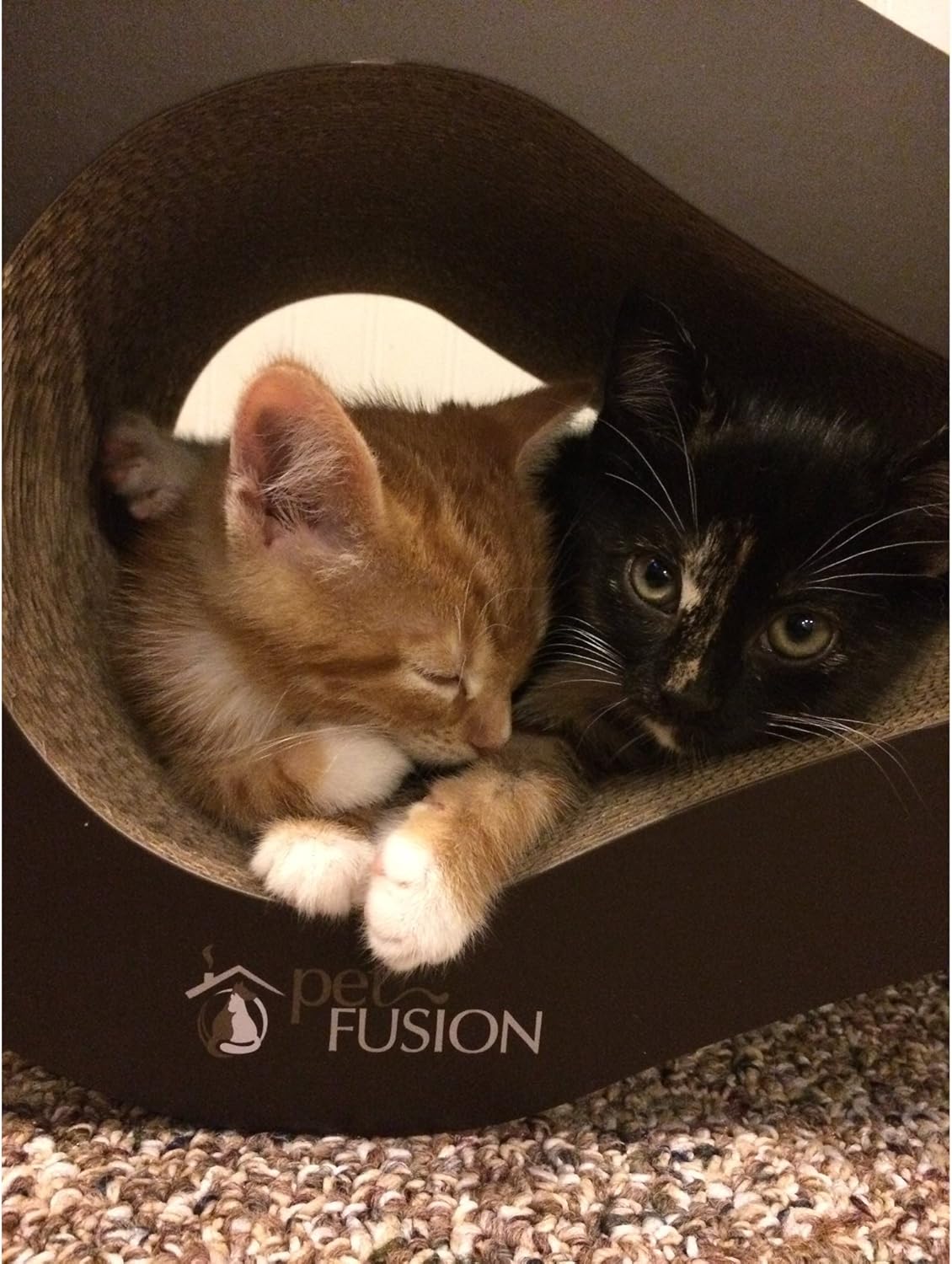 PetFusion Cat Scratcher Lounge - Walnut Brown, 1 Level (PF-CL1) : Pet Beds : Pet Supplies