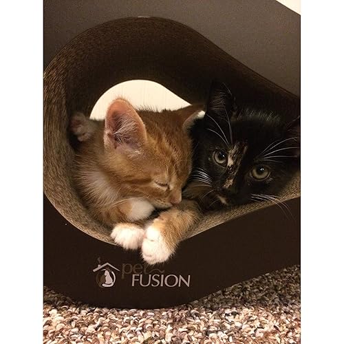 PetFusion Ultimate Cat Scratcher Lounge, Reversible Infinity Style