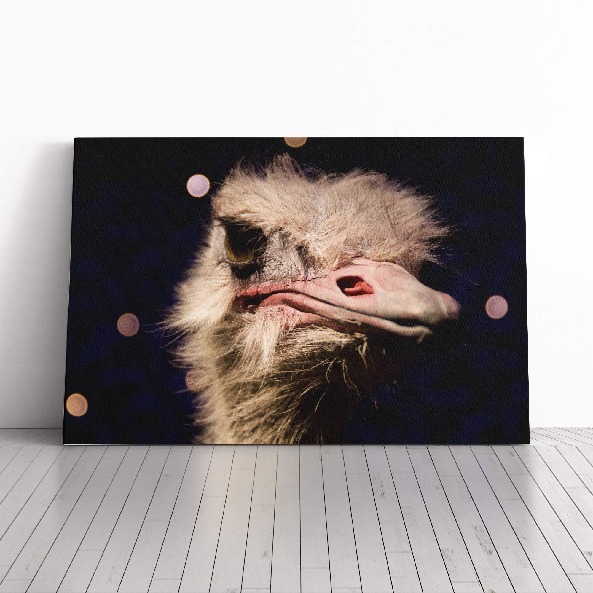 Big Box Art Canvas Print Wall Art an Ostrich | Mounted and Stretched Box Frame Picture | Home Decor for Kitchen, Living, Dining Room, Bedroom, Hallway, Multi-Colour, 20x14 Inch